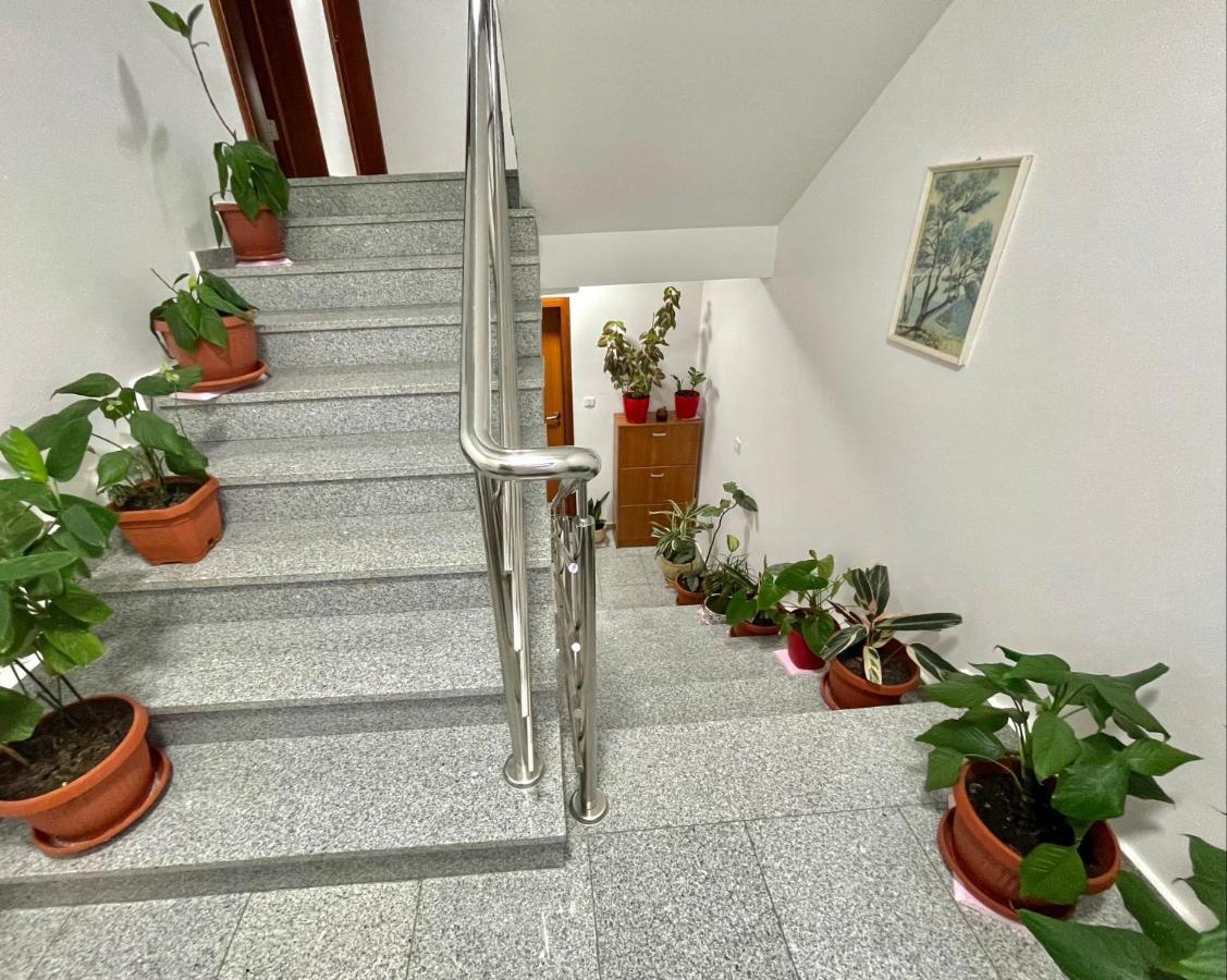 Apartments Boreta Becici Будва Экстерьер фото