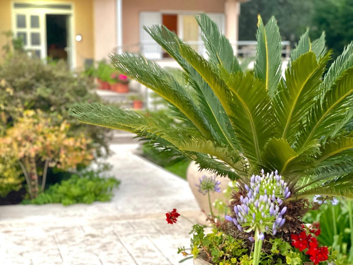 Apartments Boreta Becici Будва Экстерьер фото